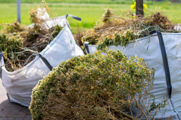 Best Recycling Services for Junk  in Oblong, IL